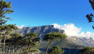 Südafrika Kapstadt Tafelberg